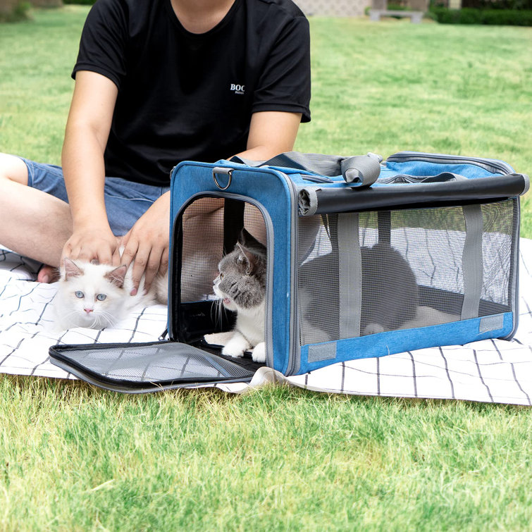 Wayfair pet clearance carrier